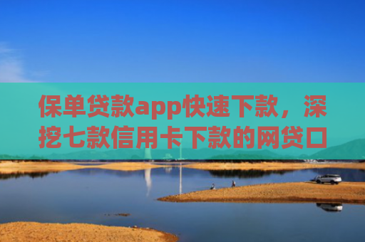 保单贷款app快速下款，深挖七款信用卡下款的网贷口子