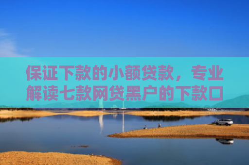 保证下款的小额贷款，专业解读七款网贷黑户的下款口子贴吧