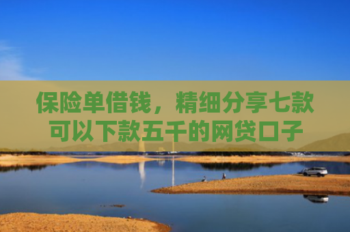 保险单借钱，精细分享七款可以下款五千的网贷口子