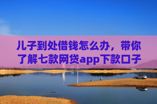 儿子到处借钱怎么办，带你了解七款网贷app下款口子