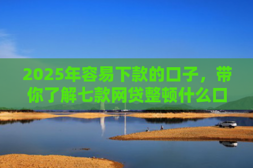 2025年容易下款的口子，带你了解七款网贷整顿什么口子下款