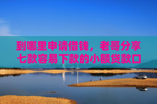 到哪里申请借钱，老哥分享七款容易下款的小额贷款口子