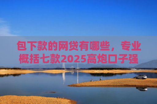 包下款的网贷有哪些，专业概括七款2025高炮口子强制下款网贷