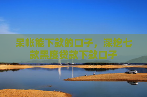 呆帐能下款的口子，深挖七款黑度贷款下款口子