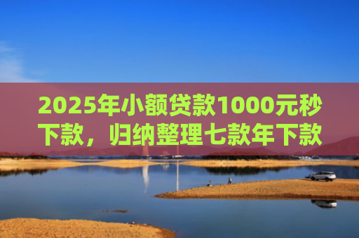 2025年小额贷款1000元秒下款，归纳整理七款年下款的网贷口子
