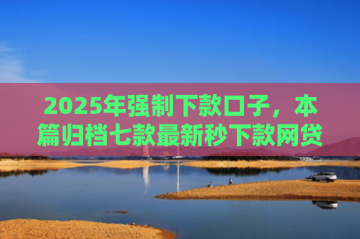 2025年强制下款口子，本篇归档七款最新秒下款网贷口子