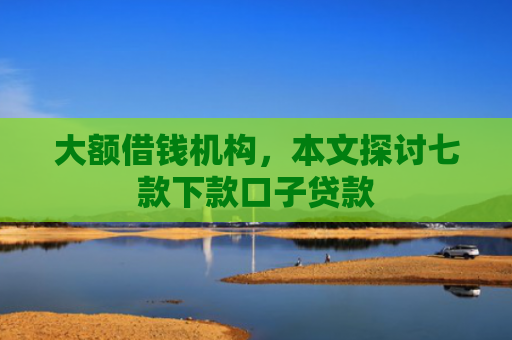 大额借钱机构，本文探讨七款下款口子贷款