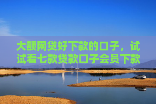 大额网贷好下款的口子，试试看七款贷款口子会员下款