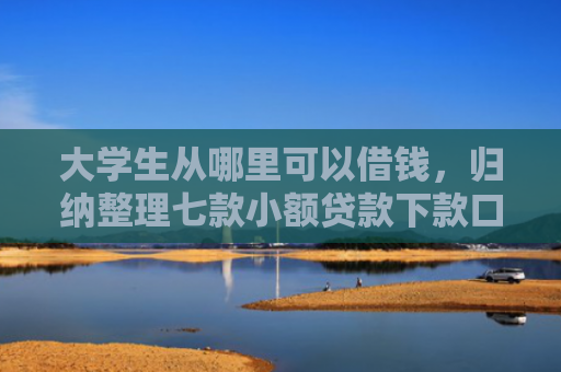 大学生从哪里可以借钱，归纳整理七款小额贷款下款口子