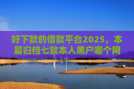 好下款的借款平台2025，本篇归档七款本人黑户哪个网贷能下款