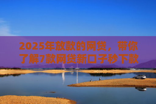 2025年放款的网贷，带你了解7款网贷新口子秒下款