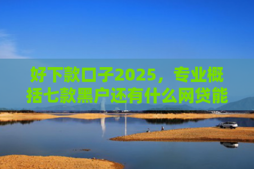好下款口子2025，专业概括七款黑户还有什么网贷能下款