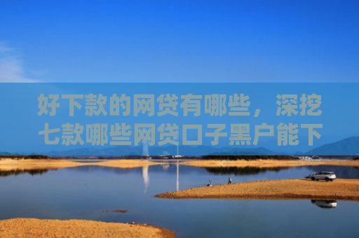 好下款的网贷有哪些，深挖七款哪些网贷口子黑户能下款