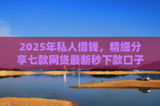 2025年私人借钱，精细分享七款网贷最新秒下款口子