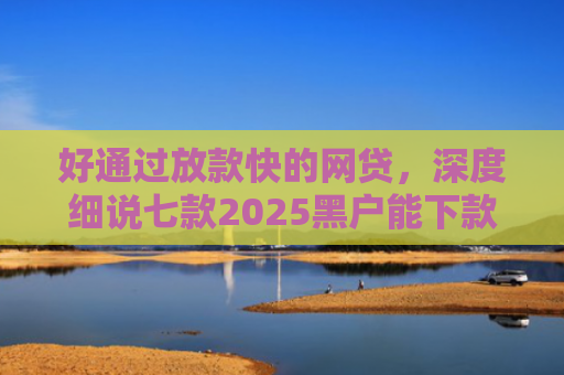 好通过放款快的网贷，深度细说七款2025黑户能下款网贷