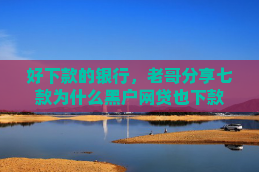 好下款的银行，老哥分享七款为什么黑户网贷也下款