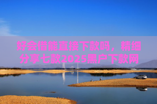 好会借能直接下款吗，精细分享七款2025黑户下款网贷