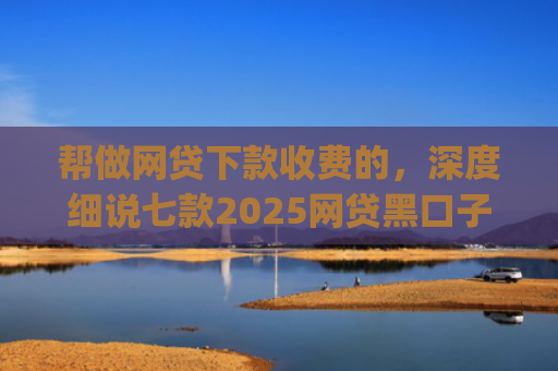帮做网贷下款收费的，深度细说七款2025网贷黑口子秒下款app