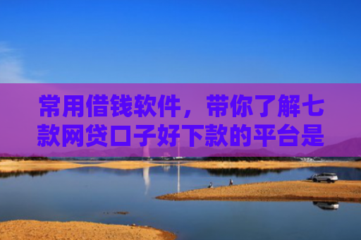 常用借钱软件，带你了解七款网贷口子好下款的平台是真的吗