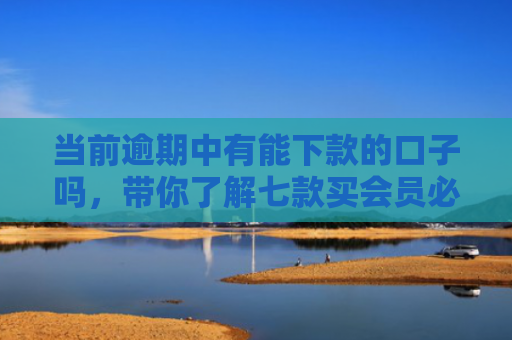 当前逾期中有能下款的口子吗，带你了解七款买会员必下款的贷款口子