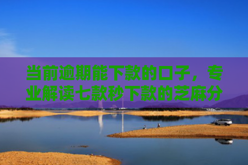 当前逾期能下款的口子，专业解读七款秒下款的芝麻分贷款口子