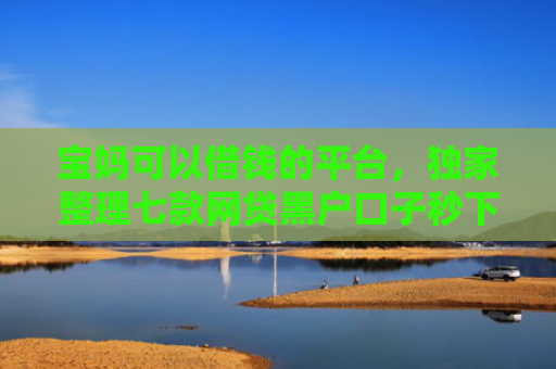 宝妈可以借钱的平台，独家整理七款网贷黑户口子秒下款了吗