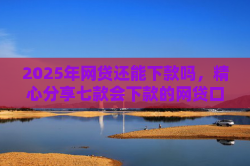 2025年网贷还能下款吗，精心分享七款会下款的网贷口子