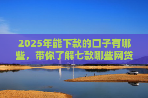 2025年能下款的口子有哪些，带你了解七款哪些网贷口子必下款