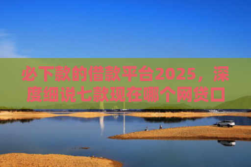 必下款的借款平台2025，深度细说七款现在哪个网贷口子好下款