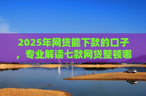 2025年网贷能下款的口子，专业解读七款网贷整顿哪些口子下款