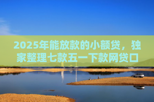 2025年能放款的小额贷，独家整理七款五一下款网贷口子