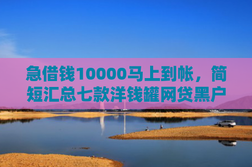 急借钱10000马上到帐，简短汇总七款洋钱罐网贷黑户能下款吗