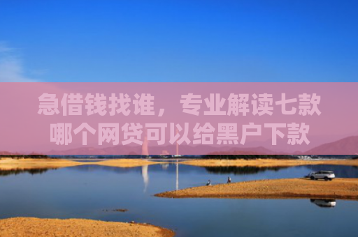 急借钱找谁，专业解读七款哪个网贷可以给黑户下款