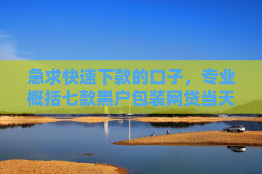 急求快速下款的口子，专业概括七款黑户包装网贷当天下款