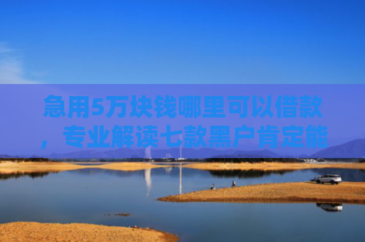 急用5万块钱哪里可以借款，专业解读七款黑户肯定能下款的网贷