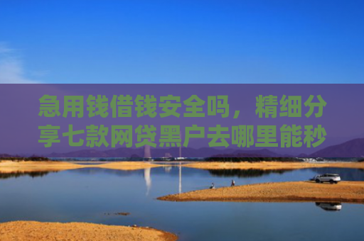急用钱借钱安全吗，精细分享七款网贷黑户去哪里能秒下款