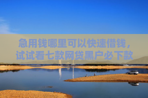 急用钱哪里可以快速借钱，试试看七款网贷黑户必下款口子贴吧