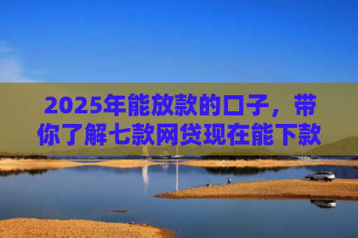 2025年能放款的口子，带你了解七款网贷现在能下款口子