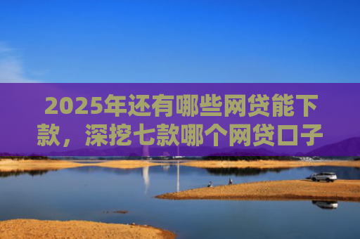 2025年还有哪些网贷能下款，深挖七款哪个网贷口子下款最快