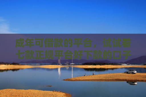 成年可借款的平台，试试看七款正规平台好下款的口子