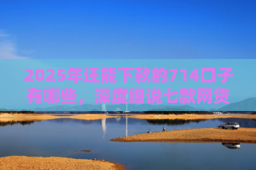 2025年还能下款的714口子有哪些，深度细说七款网贷黑户苹果下款口子