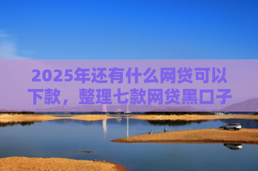 2025年还有什么网贷可以下款，整理七款网贷黑口子必下款