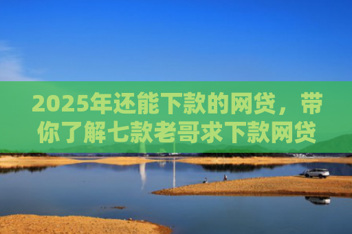2025年还能下款的网贷，带你了解七款老哥求下款网贷口子
