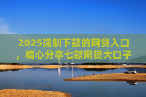 2025强制下款的网贷入口，精心分享七款网贷大口子能下款