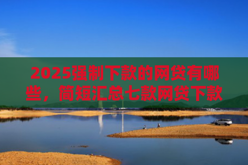 2025强制下款的网贷有哪些，简短汇总七款网贷下款高的口子