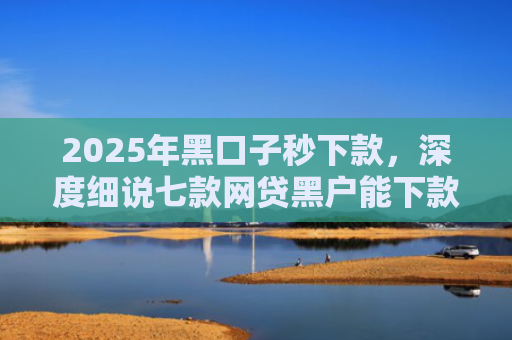 2025年黑口子秒下款，深度细说七款网贷黑户能下款口子