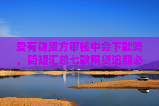 爱有钱资方审核中会下款吗，简短汇总七款网贷逾期必下款的口子