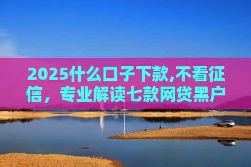 2025什么口子下款,不看征信，专业解读七款网贷黑户口子下款口子