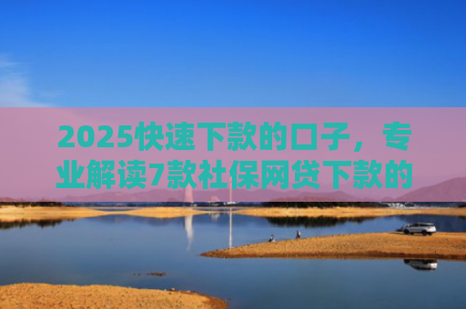 2025快速下款的口子，专业解读7款社保网贷下款的口子