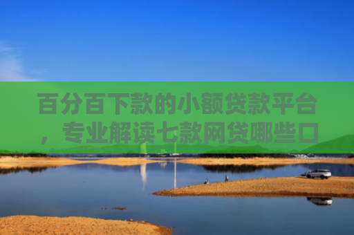 百分百下款的小额贷款平台，专业解读七款网贷哪些口子下款额度大